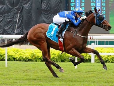 Lim's Lightning gives Meagher first G.1 win in Lion City Cup Image 1